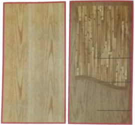 Flush Door